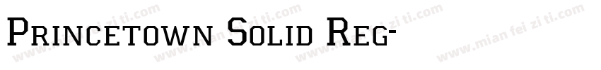 Princetown Solid Reg字体转换